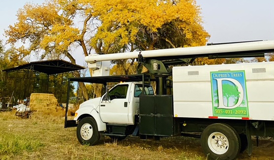 Dupree's Trees company truck
