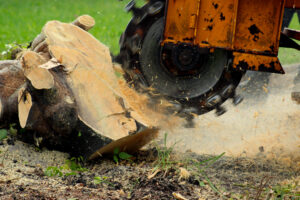 stump grinding